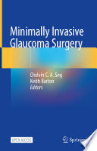 Image of Minimally invasive glaucoma surgery : a practical guide