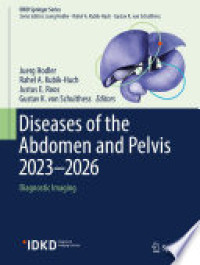 Image of Diseases of the abdomen and pelvis 2023-2026 diagnostic imaging
