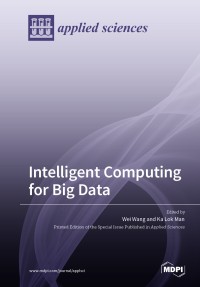 Intelligent computing for big data