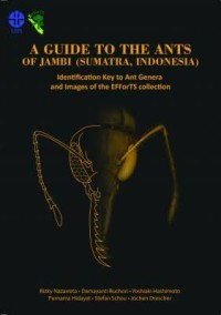 A guide to the ants of Jambi (Sumatra, Indonesia): identification key to ant genera and images of the EFForTS collection